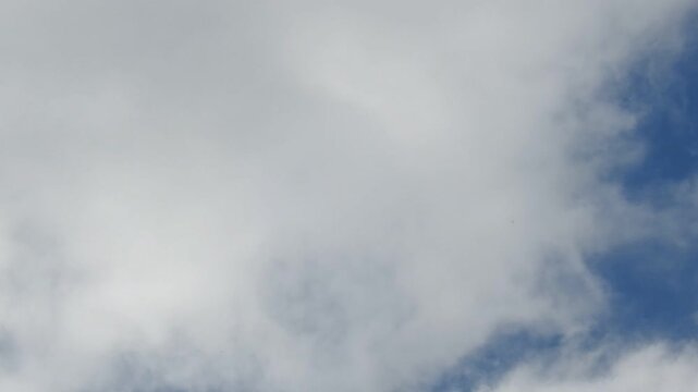 Cielo