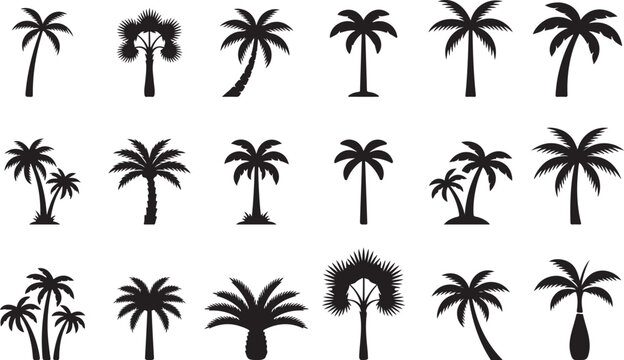 Minimal Palm Tree Silhouette Isolated on White Background Vector