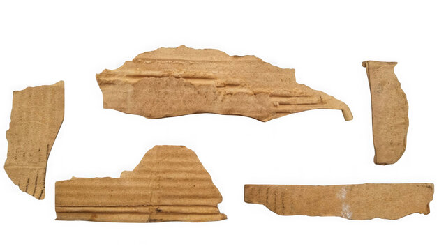 Ancient pottery shards on neutral background