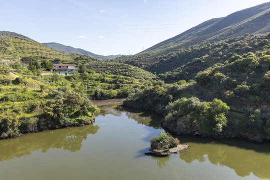 View of the Douro river valley with terraced vineyards, lush green hills, and a traditional house under a clear sky Portugal.