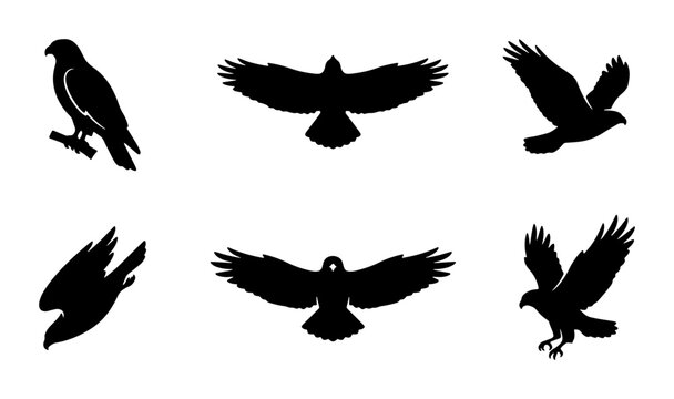 Six Silhouette Vector Icons of Birds of Prey in Flight and Perched, Majestic Eagles and Hawks, Minimalist Black and White Wildlife Graphics