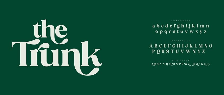 Elegant serif font display with alphabet samples