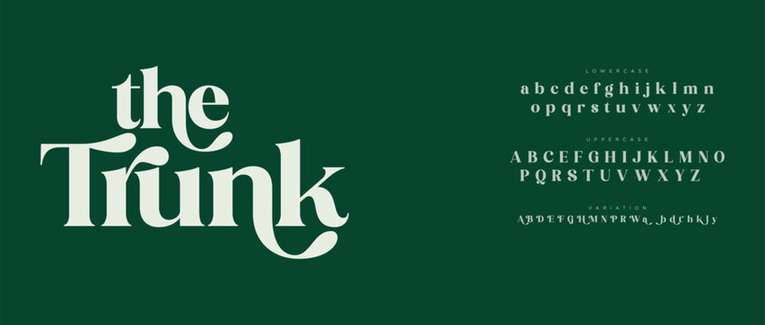 Elegant serif font display with alphabet samples