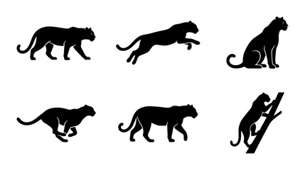 Black Panther Silhouettes Collection, Wild Cat Poses Vector Set, Feline Animal Graphics for Wildlife and Nature Designs © Mahia