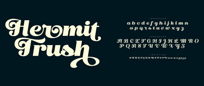 Elegant hermit font display with letter samples