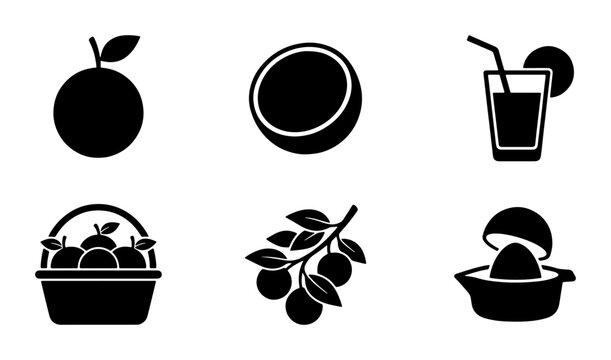 Citrus Fruit Icons Set, Orange Slice and Juice Glass Vector Graphics, Fresh Food Collection for Healthy Lifestyle Designs