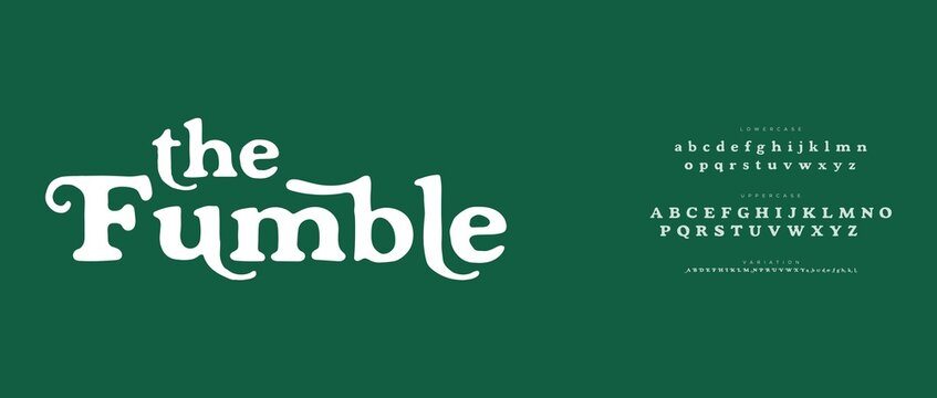 Elegant serif font display with alphabet chart