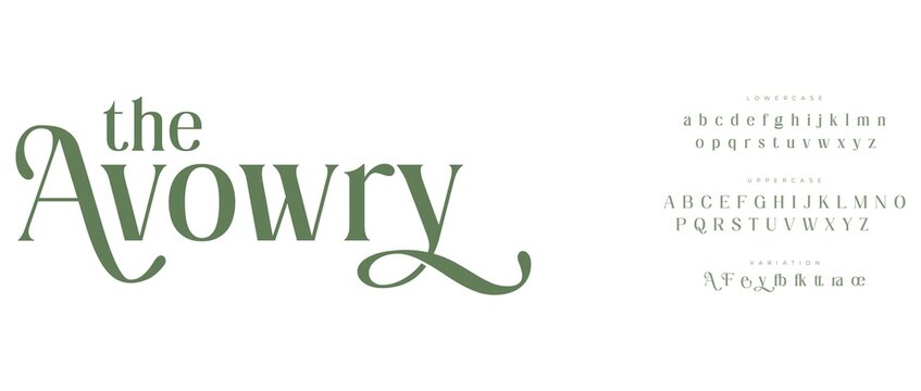 Elegant avowry script font with alphabet samples