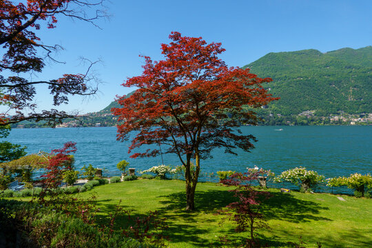 parco con vista lago e giardino con alberi  con foglie rosse