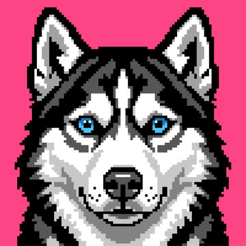 Siberian Husky dog head pixel art illustration in a front view with blue eyes and alert ears isolated on a pink background for animal game sprites.