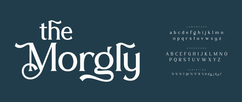 Elegant morgly script font display with alphabet samples