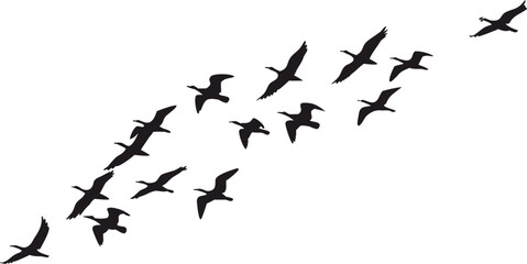 Minimal flying bird flock silhouette with graceful migratory formation in the open sky. Abstract wildlife illustration for travel themes, nature branding, posters, logos, and decorative graphic design © Khadiza