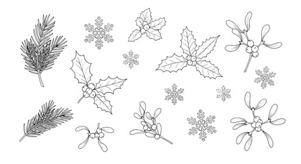 Fototapeta premium Plants and snowflakes hand-drawn set with intricate line art and natural elements featuring botanical, winter, holiday with festive and illustration