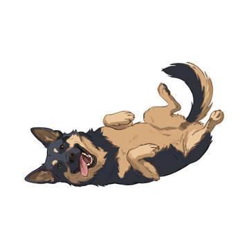 German Shepherd asking pets