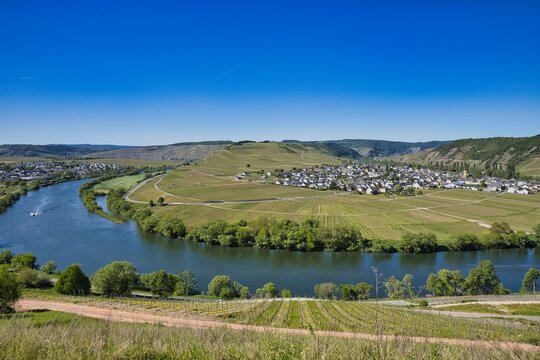 Fahrradtour an der Mosel bei Leiwen