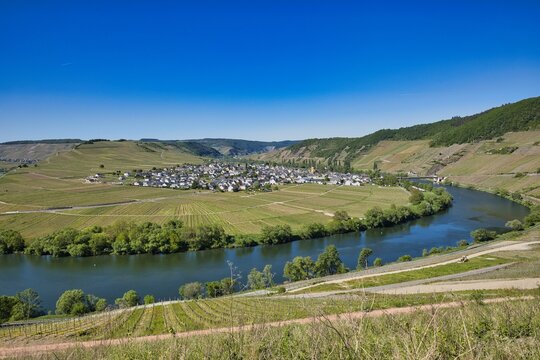 Fahrradtour an der Mosel bei Leiwen
