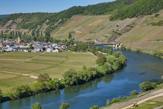 Fahrradtour an der Mosel bei Leiwen