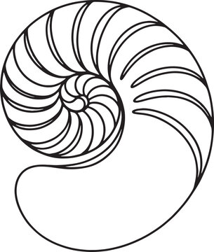 Intricate line drawing of a nautilus shell showcasing its beautiful spiral pattern and natural geometry