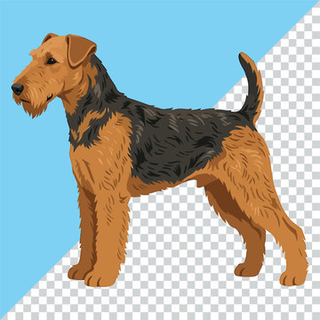 Pixel art illustration of an airedale terrier standing with dog breed full body digital