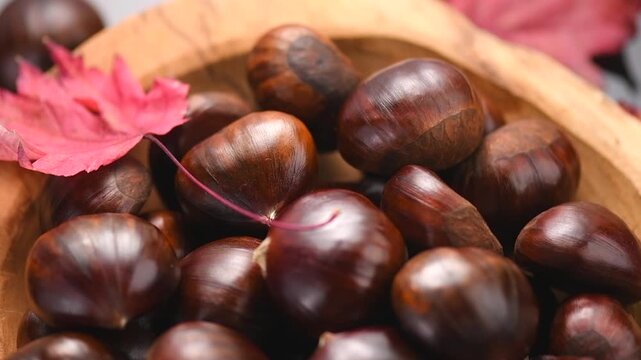 Chestnut, Fresh sweet chestnuts with autumn red leaves on black background, top view. Thanksgiving day. Edible chestnuts (Castanea sativa) rotating in wooden bowl. Top view. Close-up. 