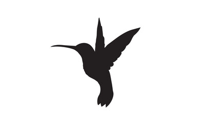 Obraz premium A detailed and aesthetically pleasing vector illustration of a hummingbird, isolated against a white background. An elegant and colorful graphic element for nature-themed designs.