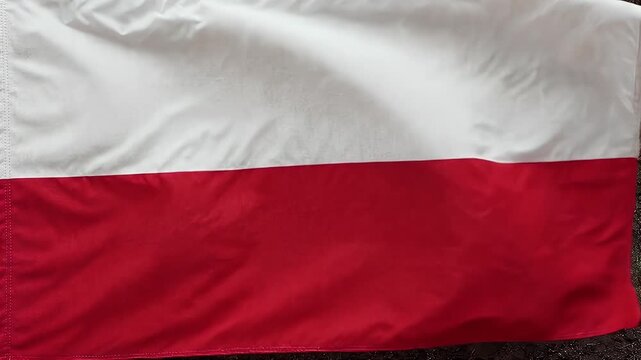 The video shows the national flag of Poland, featuring two horizontal stripes of equal width. The top stripe is white, symbolizing peace and purity, while the bottom stripe is red, representing valor