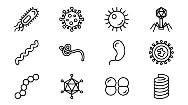 Collection of diverse microscopic organisms and viruses depicted as simple line art icons, showcasing various shapes and structures.