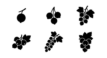 Blackcurrant berry icons, fresh fruit silhouettes, organic garden produce vector collection © NST