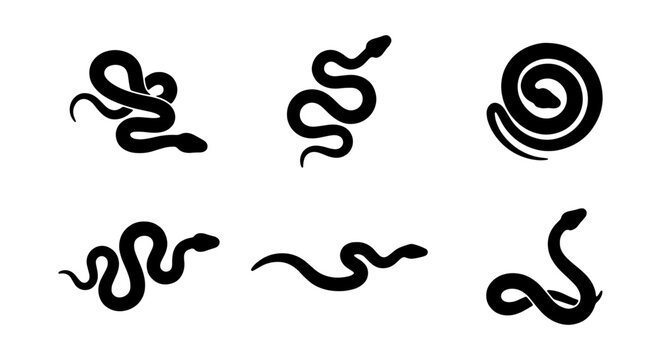 Black Snake Silhouette Vector Set, Serpent Reptile Icons, Coiled Snake Graphics for Design