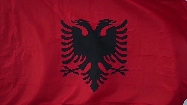 This video shows a close-up of the Albanian national flag featuring a black double-headed eagle on a red background. The flag is slightly ruffled, adding texture and dimension.
