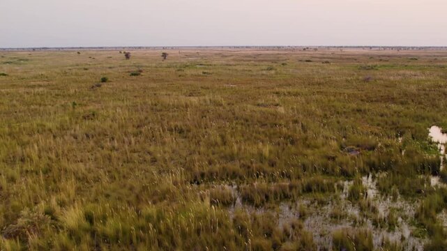 Drone footage of Okavango delta, Botswana, South Africa. 