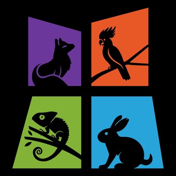 Modern Minimalist Animal Silhouettes in Colorful Grid Frames