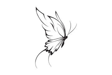Butterfly vector illustration black and white isolated on white background © Mofassal