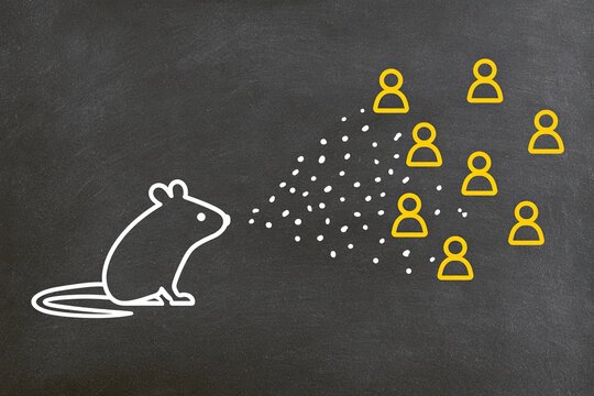 Conceptual illustration of a mouse spreading hantavirus particles towards a group of people, depicted with a chalkboard background and simple graphic elements