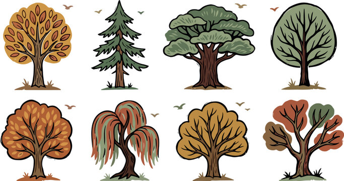 Traditional hand drawn tree illustrations pack with detailed bark textures and diverse leaf shapes representing various seasons and species.