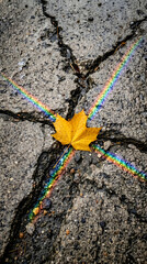 Naklejka premium Golden Leaf and Cracks: A single, vibrant yellow leaf rests delicately within the intricate network of cracks on a weathered surface, framed by a soft, natural, rainbow.