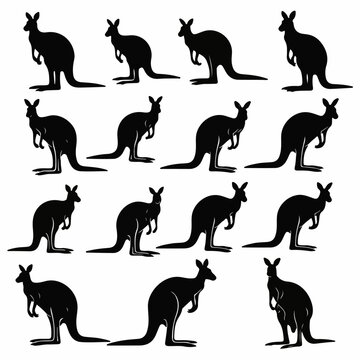 Collection of black kangaroo silhouettes on white clean background