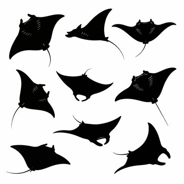 Black manta ray silhouettes collection beneath artistic white atmosphere