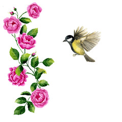 Pink climbing roses brunch with green leaves and tit bird. Watercolor illustration isolated on white background. Sublimation arrangement © Viktoriia
