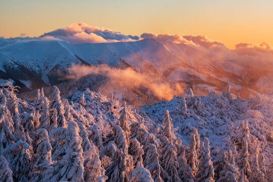 View of Salatin peak with snow-covered pine trees and misty mountain ridges under a golden sunset sky Liptovska Stiavnica, Zilinsky kraj, Slovakia.