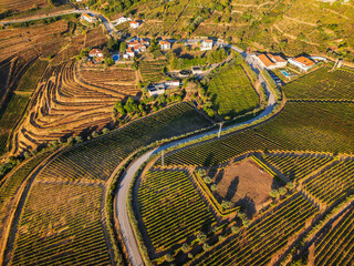 Obraz premium Drone view of vineyards and hills in Douro Valley, Portugal, with Douro valley hills, terraced vineyards, and village homes among vineyards