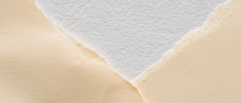 White textured watercolor paper with torn deckled edge overlapping a smooth cream sheet close-up