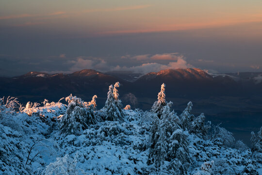View of Salatin mountain peak with snow-covered pine trees under a golden sunset sky in Liptovska Stiavnica, Zilinsky kraj, Slovakia.
