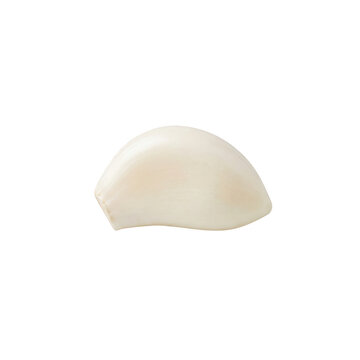 White garlic clove isolated