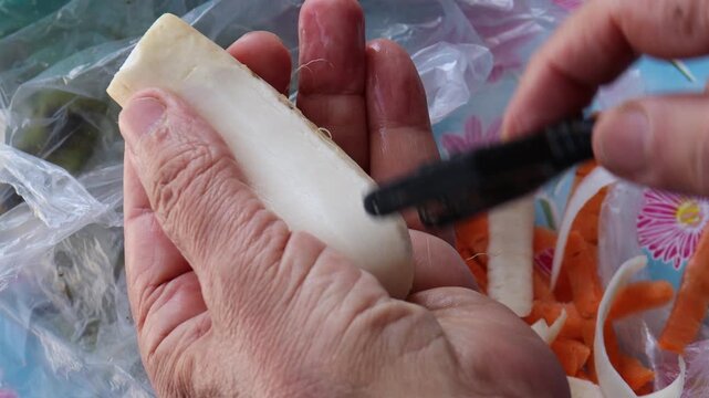 Hands peeling fresh white turnip with vegetable peeler