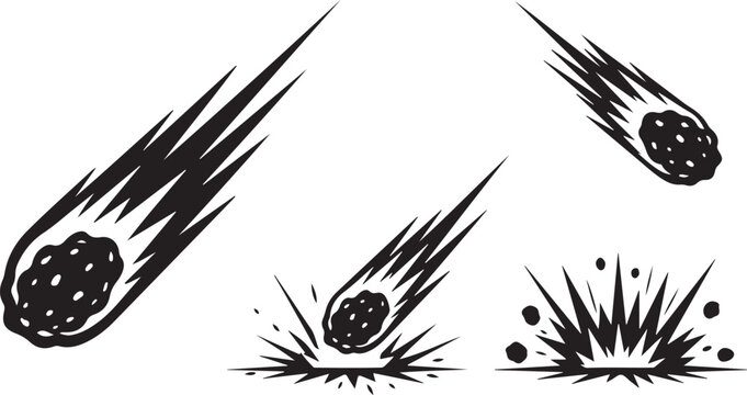 Black and white of sea urchins and starfish on a chalkboard background, marine life d