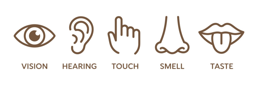 Five Senses Icon Set Featuring Human Sense Organs with Eye, Ear, Nose, Lips and Touch Symbols for Education