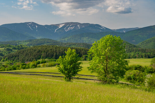 View of lush green meadows and rolling hills with the Low Tatras mountains in the background under a cloudy sky in Horna Lehota, Banskobystricky kraj, Slovakia.
