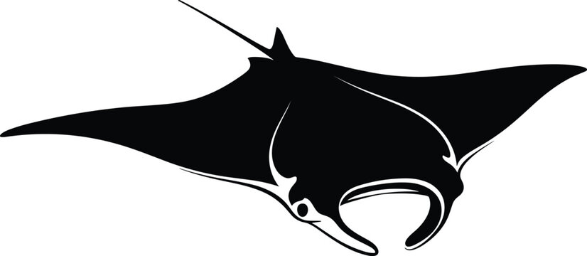 Elegant Manta Ray Silhouette Vector Illustration - Minimalist Black and White Marine Life Design for Ocean Conservation, Scuba Diving Graphics, and Underwater Wildlife Art Projects.