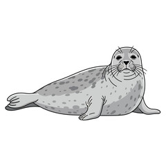 Spotted seal lying on surface calmly. © Donok